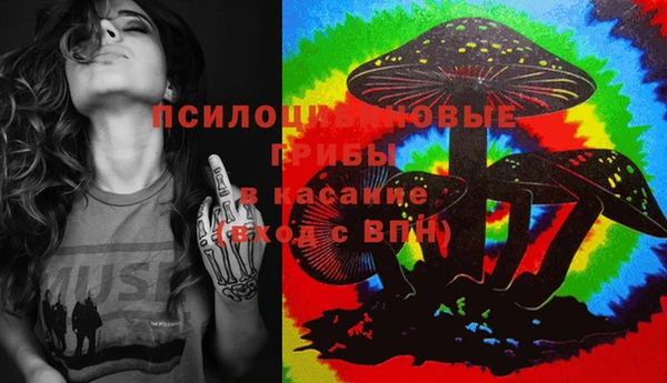 прущая мука Кулебаки