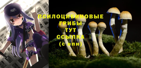 прущая мука Братск