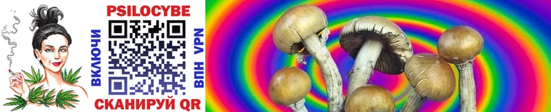 ОМГ ОМГ   Ершов  Галлюциногенные грибы MAGIC MUSHROOMS  наркотики 